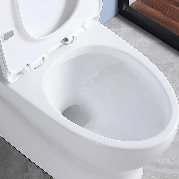 best one piece comfort height toilet